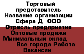 Торговый представитель › Название организации ­ Сфера-Д, ООО › Отрасль предприятия ­ Оптовые продажи › Минимальный оклад ­ 40 999 - Все города Работа » Вакансии   . Ивановская обл.